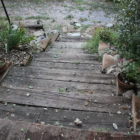 Il Nido Tra Le Querce Casa vacanze Assisi