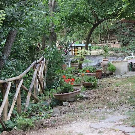 Il Nido Tra Le Querce Casa vacanze Assisi