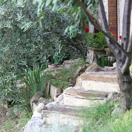 Casa vacanze Il Nido Tra Le Querce Assisi